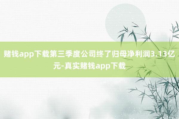 赌钱app下载第三季度公司终了归母净利润3.13亿元-真实赌钱app下载