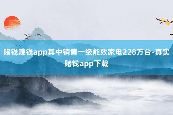 赌钱赚钱app其中销售一级能效家电228万台-真实赌钱app下载