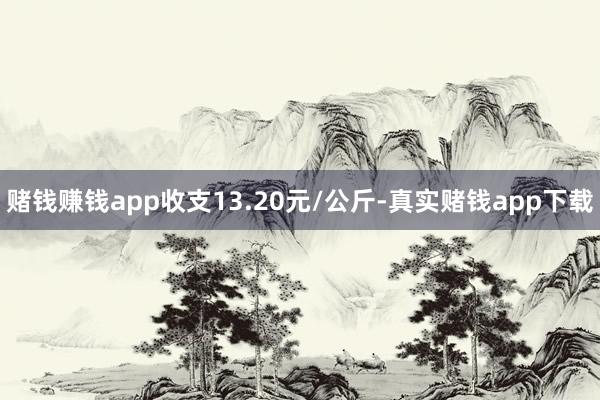 赌钱赚钱app收支13.20元/公斤-真实赌钱app下载