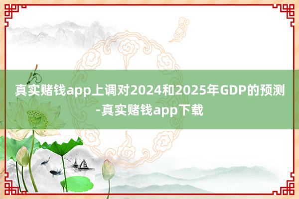 真实赌钱app上调对2024和2025年GDP的预测-真实赌钱app下载