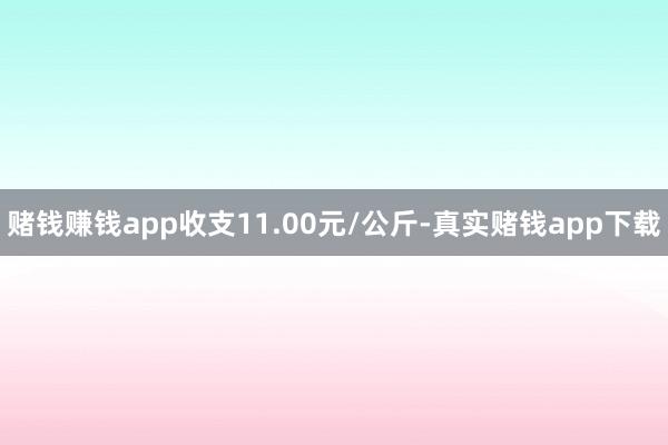 赌钱赚钱app收支11.00元/公斤-真实赌钱app下载