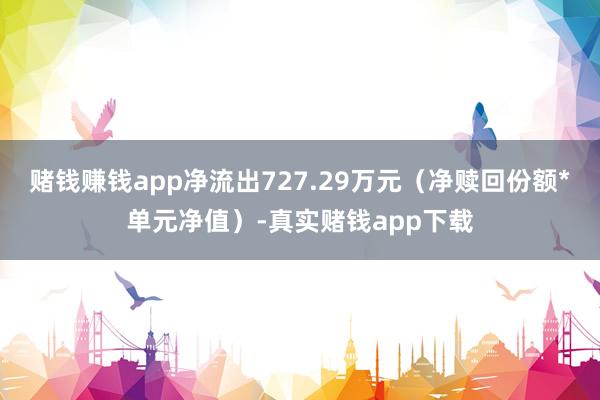 赌钱赚钱app净流出727.29万元（净赎回份额*单元净值）-真实赌钱app下载